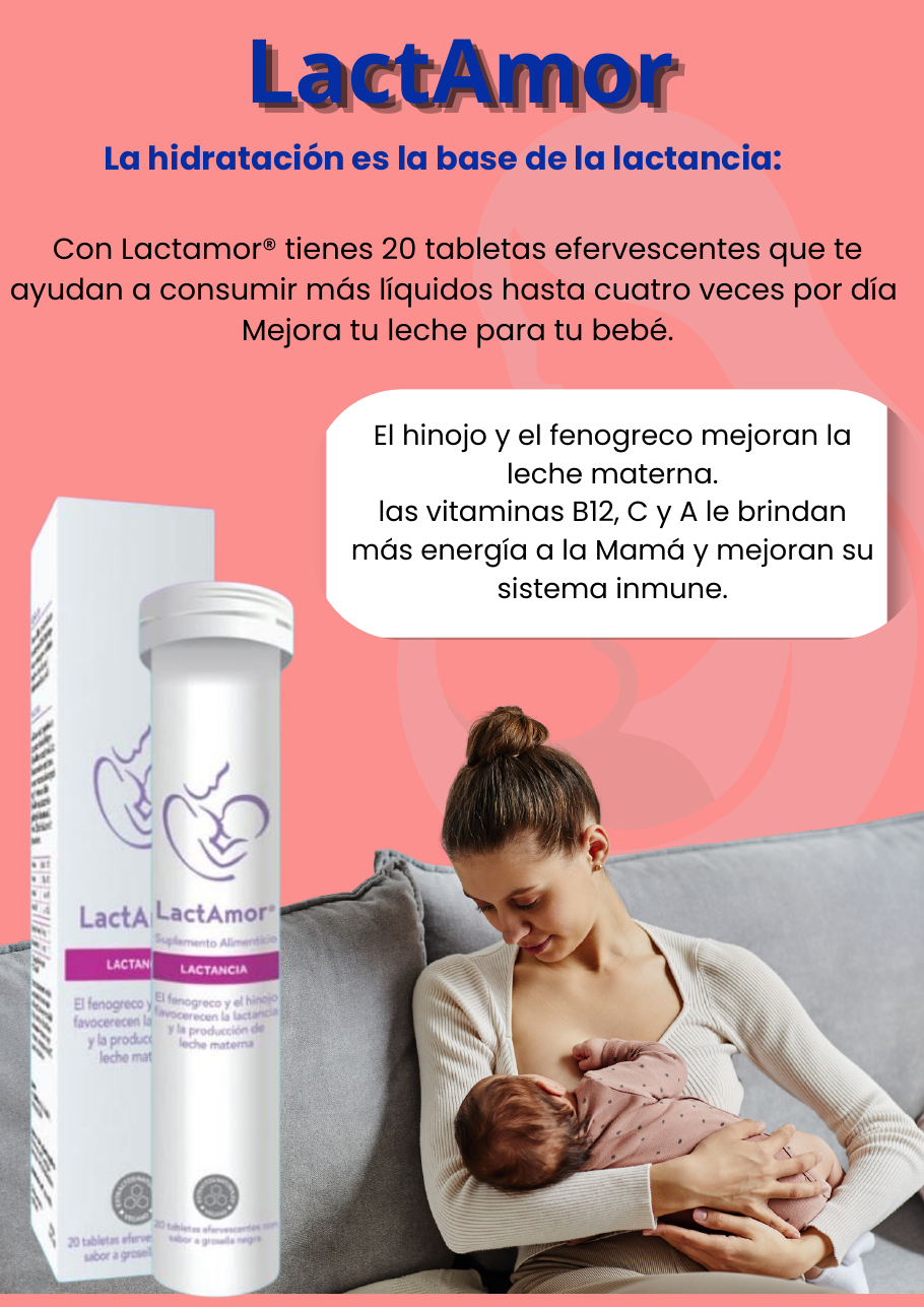 Catalogo Windsor producto